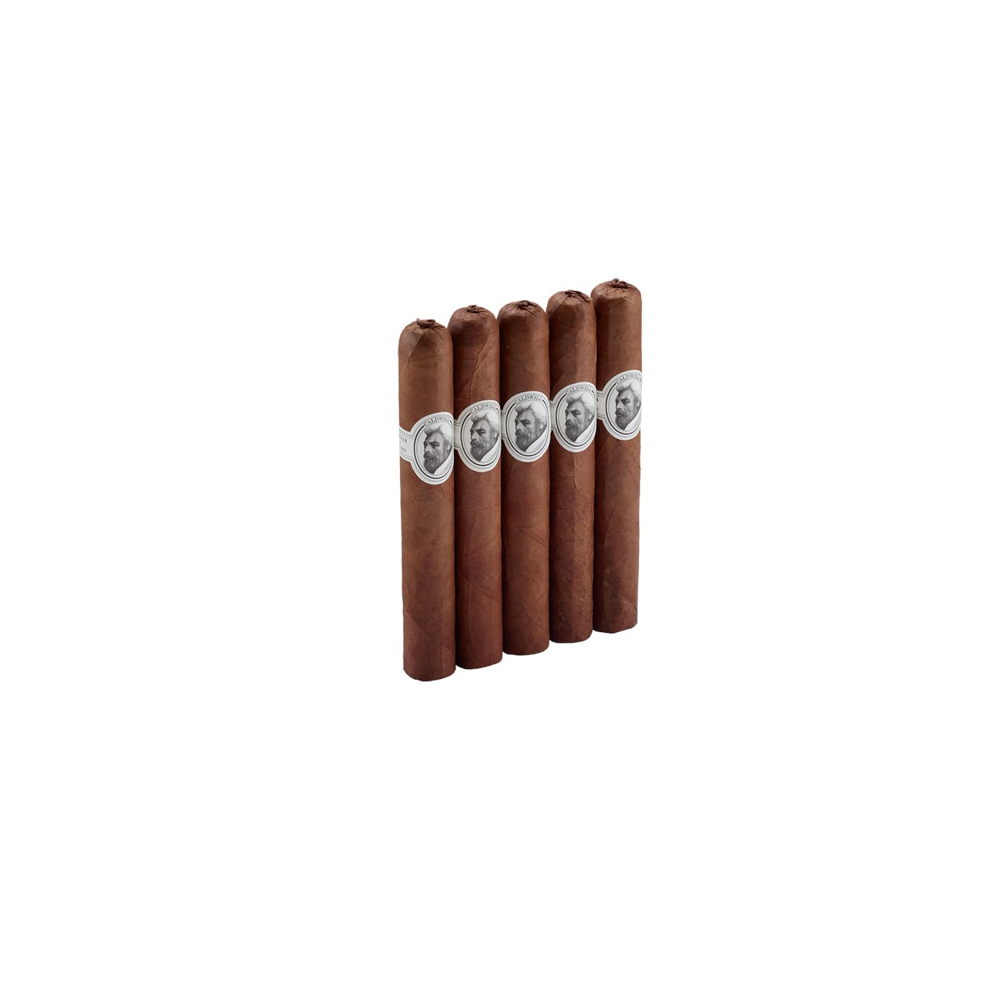 Eastern Standard Cypress Room, 5 Pack