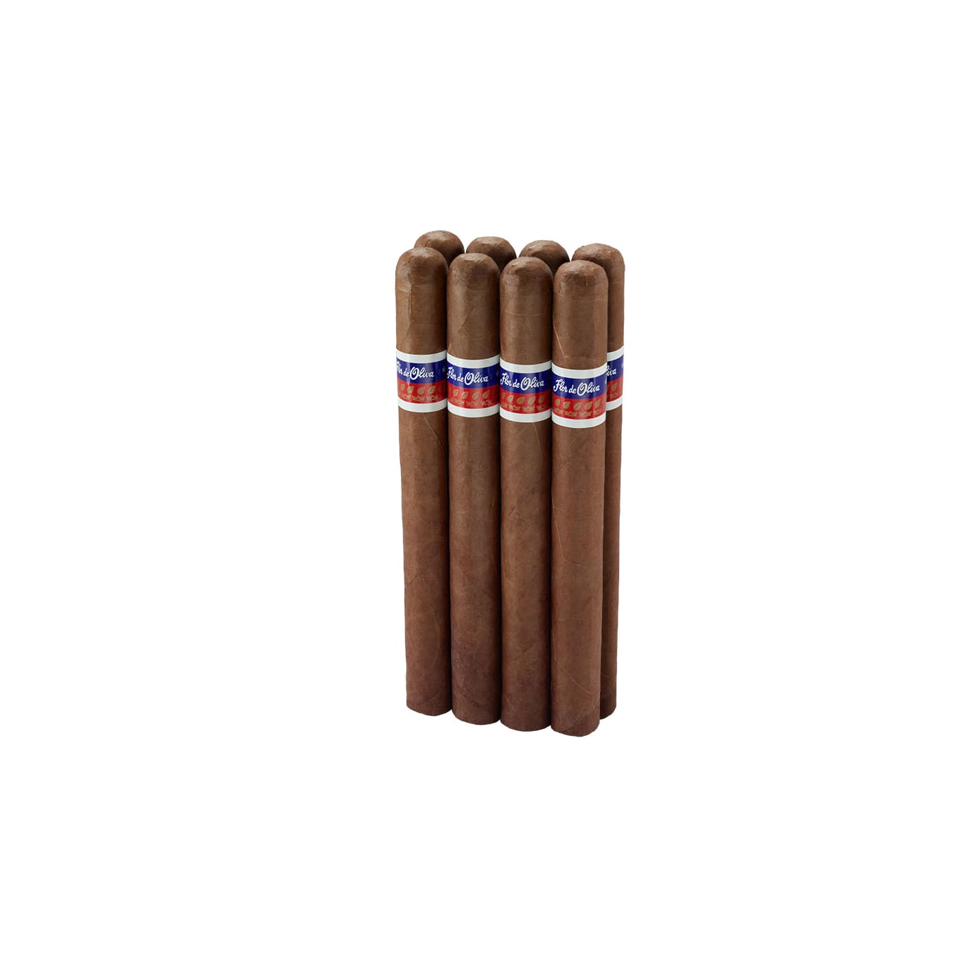 Flor De Oliva Super Giant