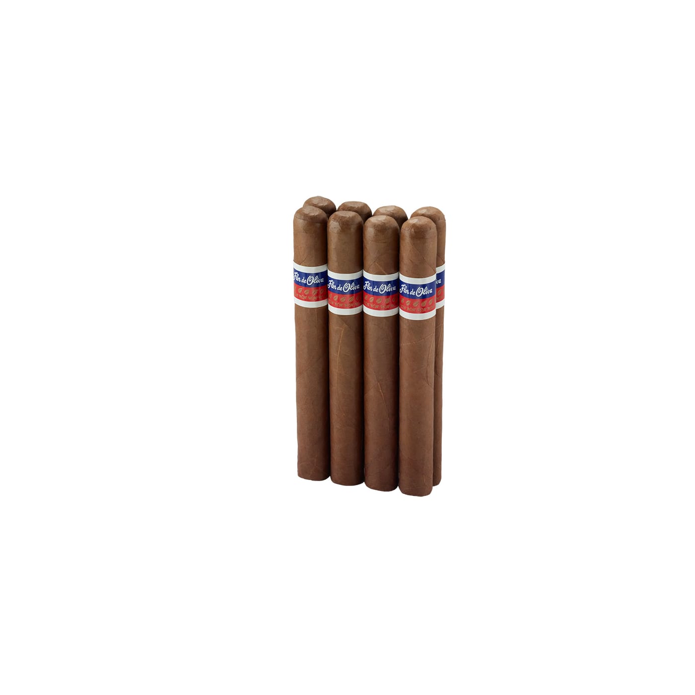Flor De Oliva Giant Presidente