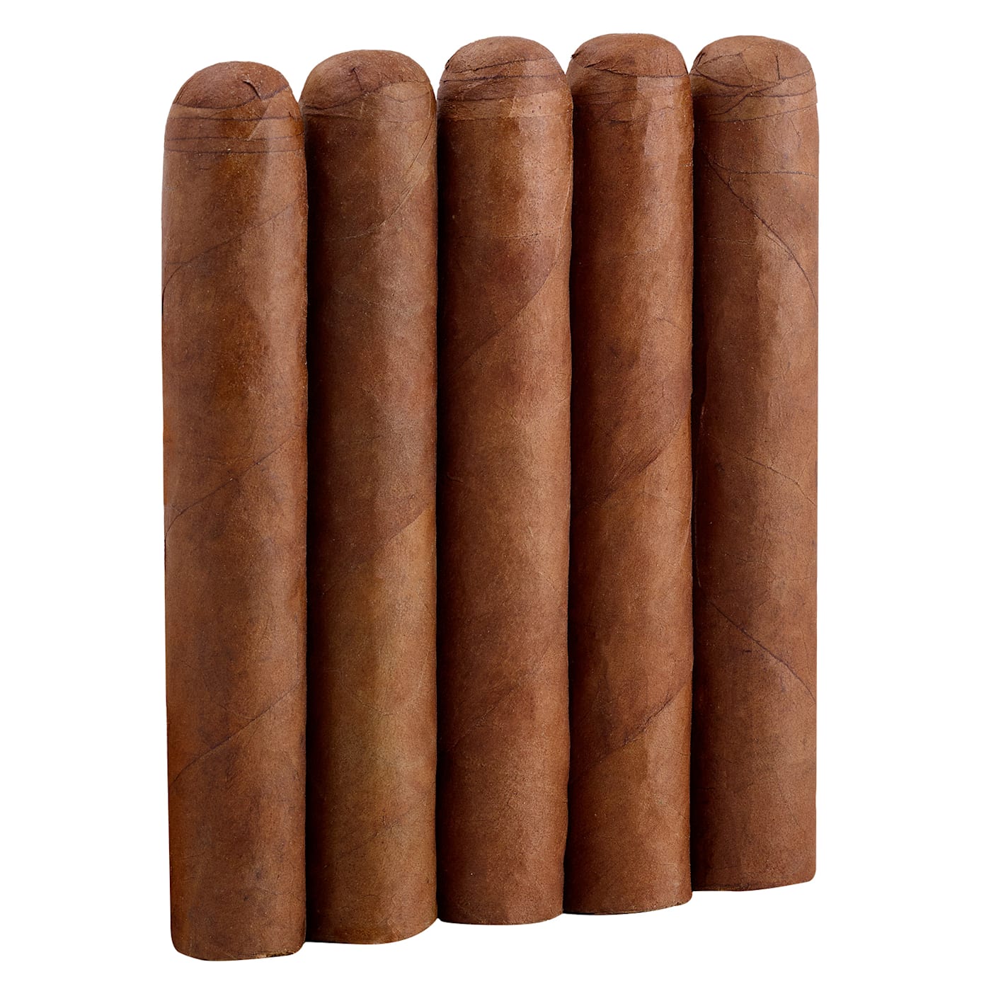 Famous Nicaraguan Bundles Habano Robusto