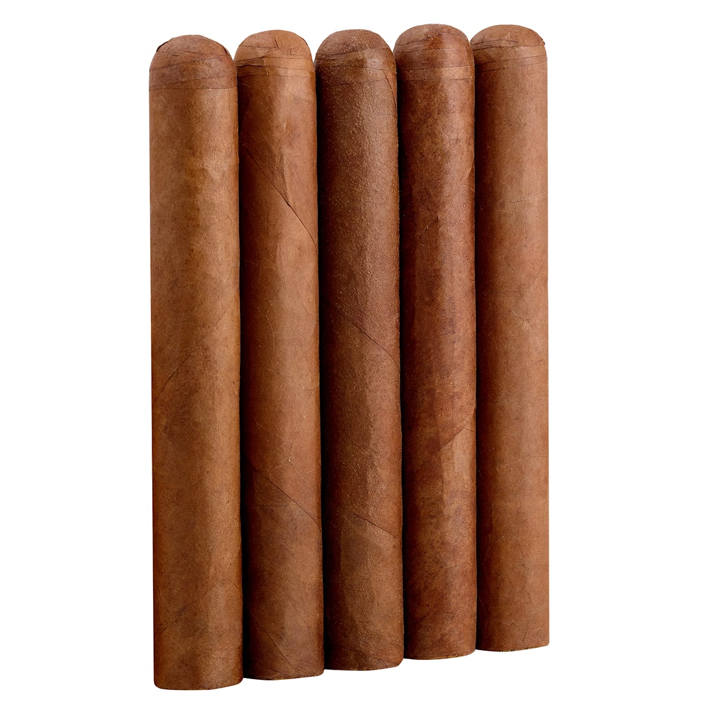 Famous Nicaraguan Bundles Habano Toro