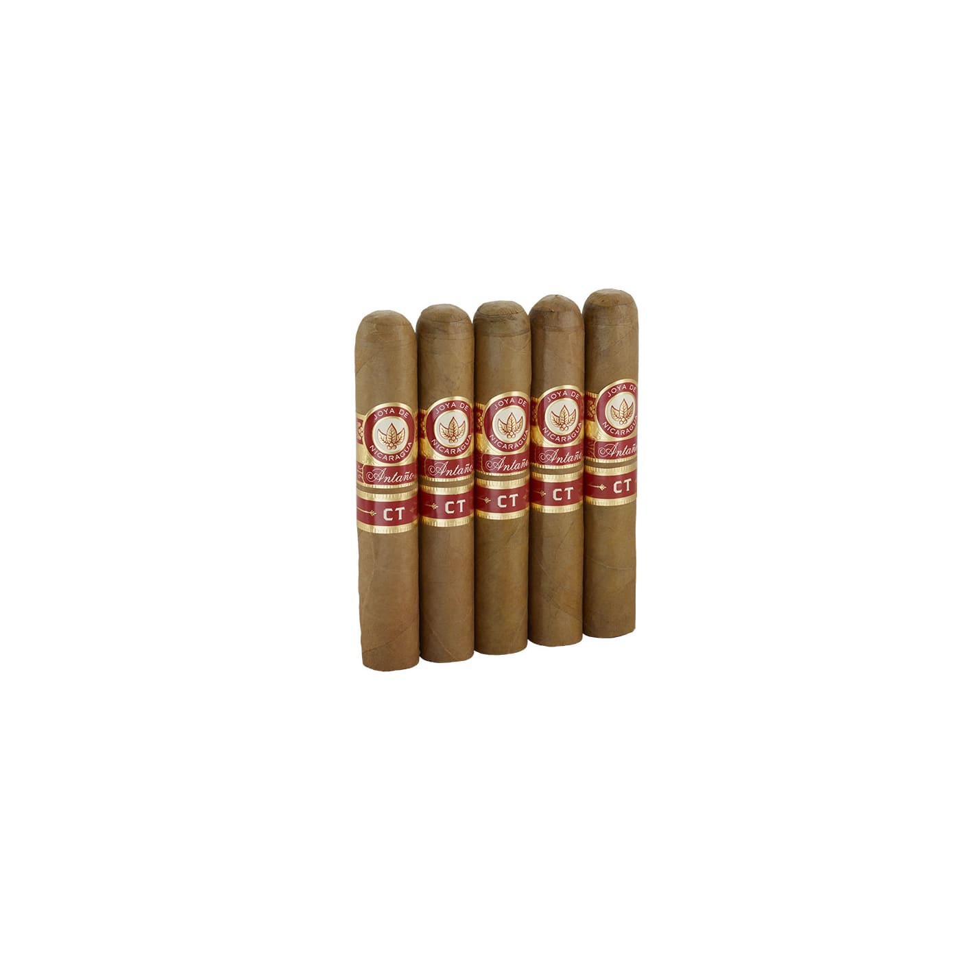 Joya de Nicaragua Antano Connecticut Robusto
