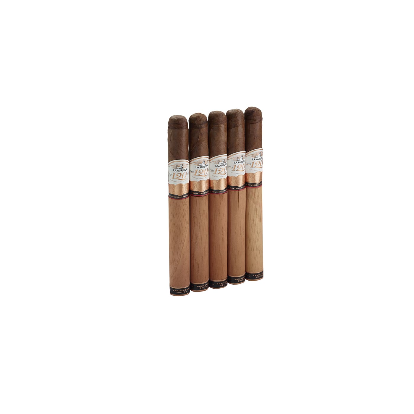 La Aurora 120 Anniversary Churchill