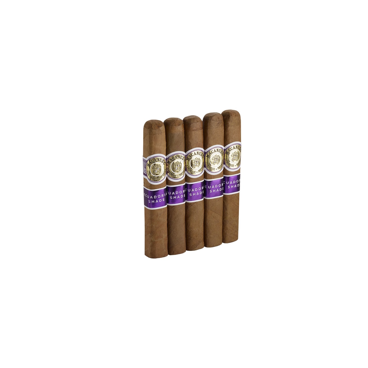 Macanudo Ecuadorian Shade Robusto