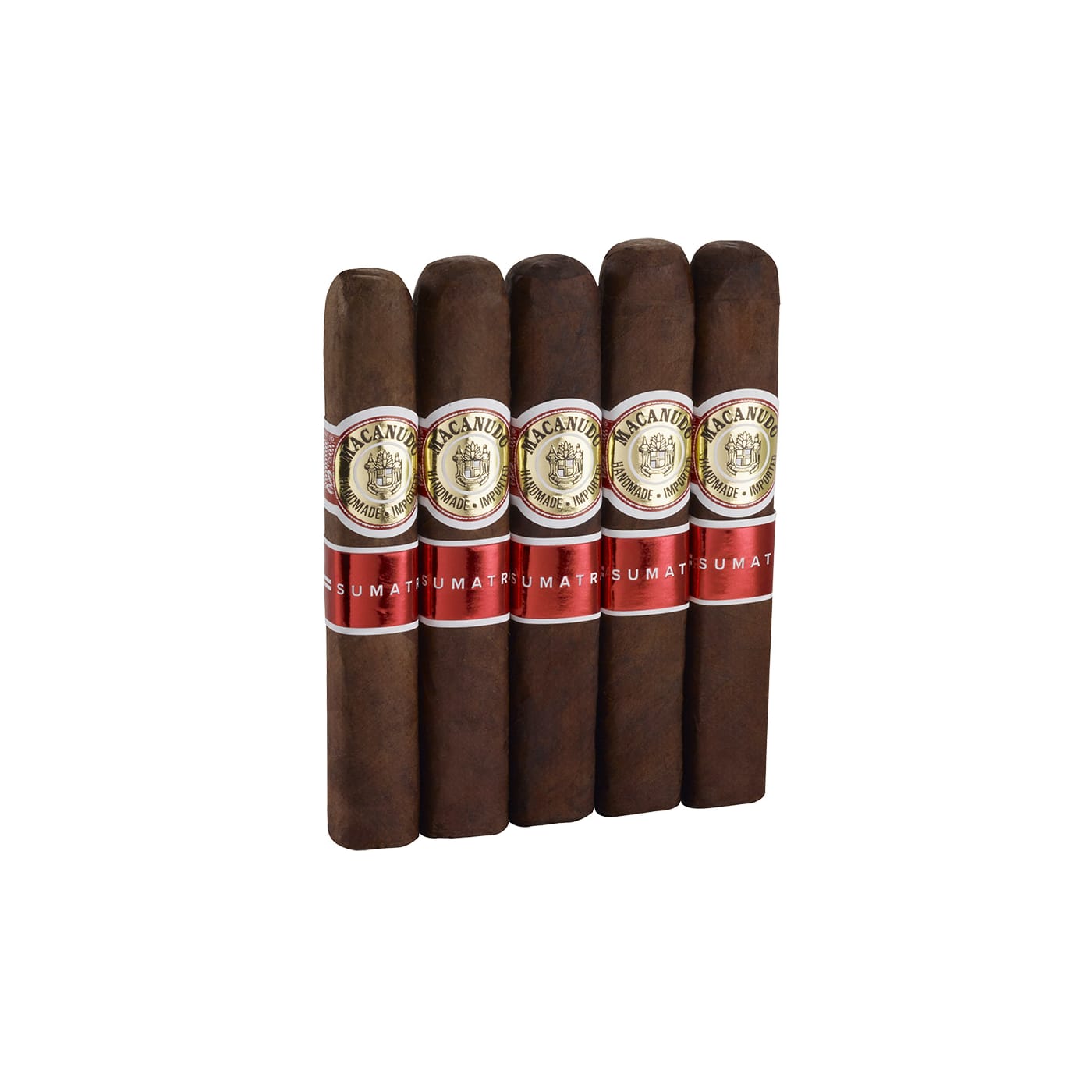 Macanudo Sumatra Robusto