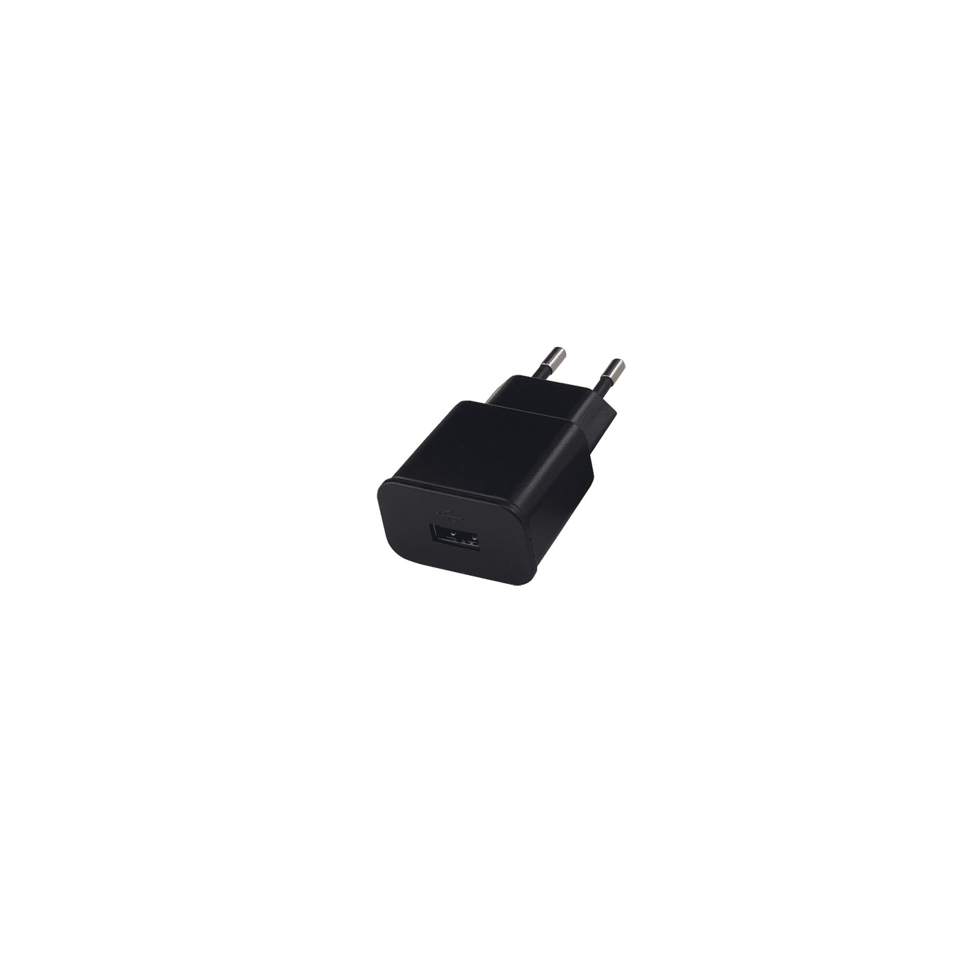 Oasis 220 Euro Adapter
