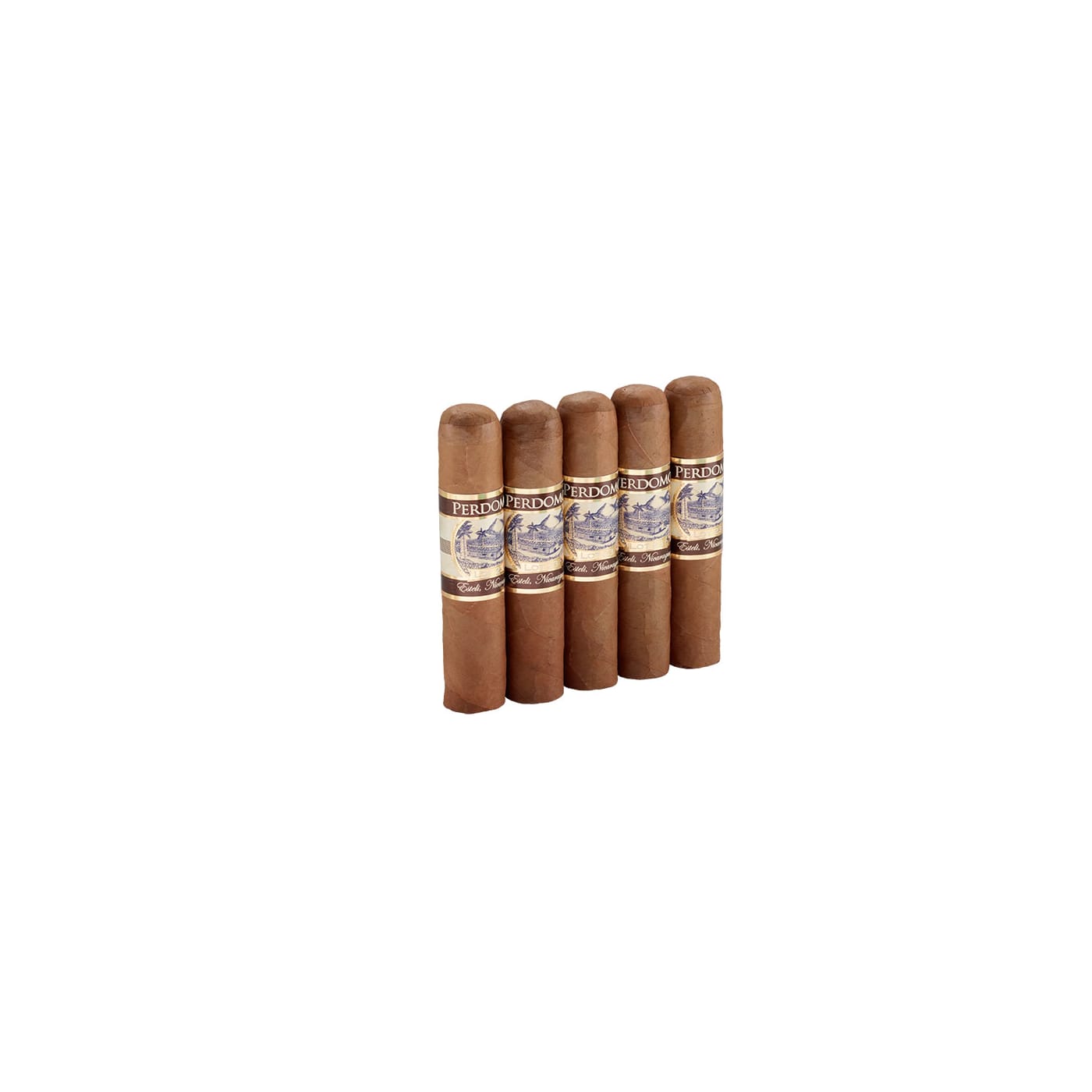Perdomo Lot 23 Gordito Connecticut