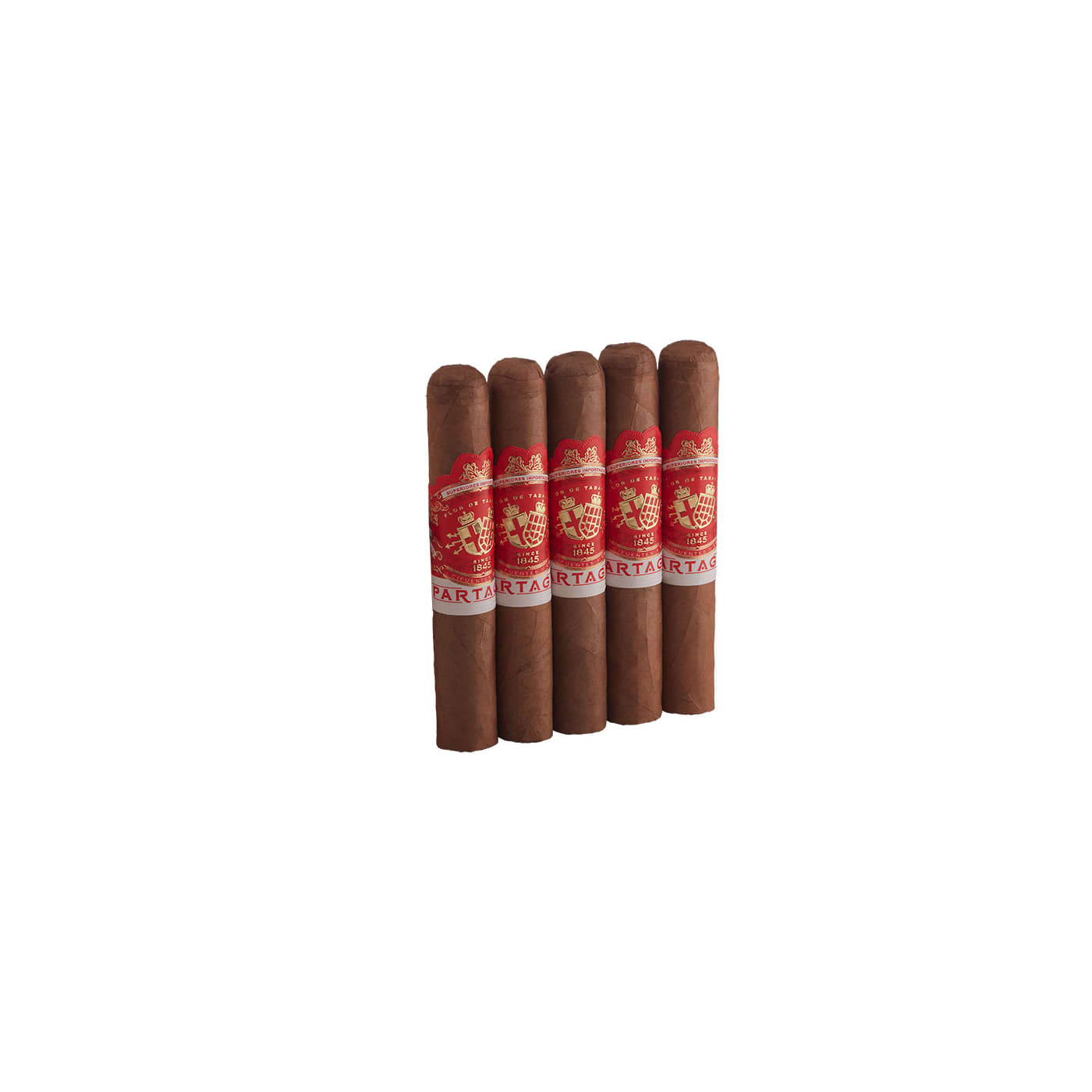 Partagas Cortado Robusto