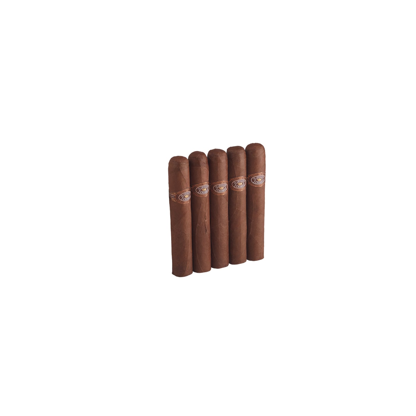 PDR El Criollito Robusto
