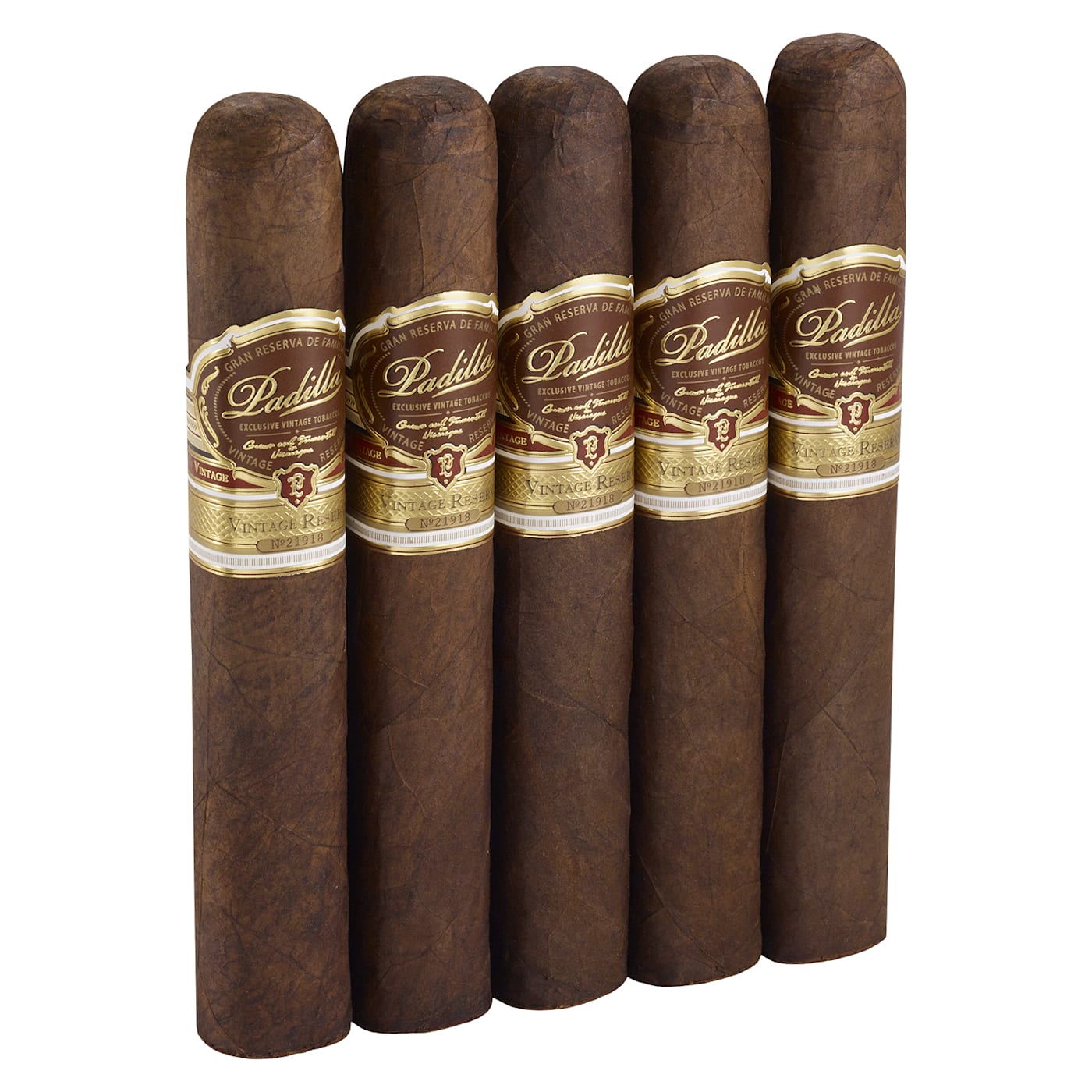 Padilla Vintage Reserve Gordo, 5 Pack