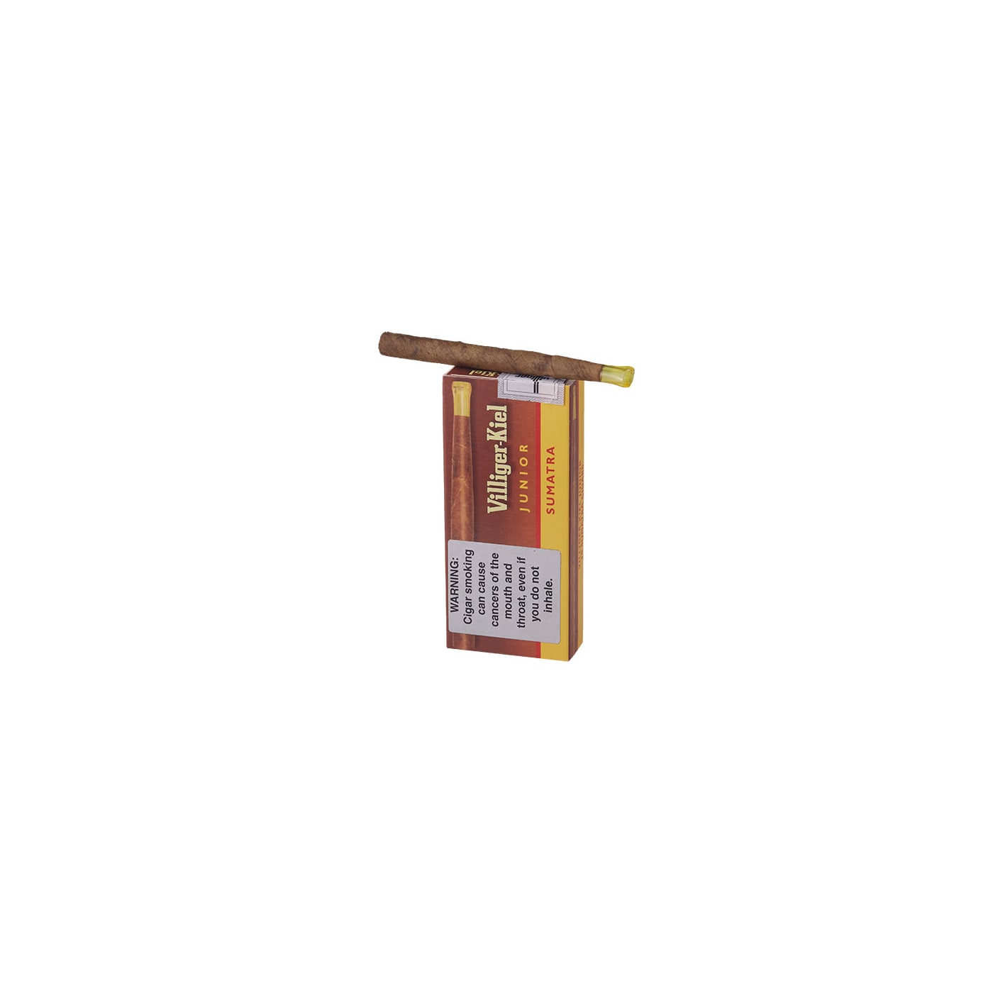 Villiger Kiel Junior Sumatra (10)