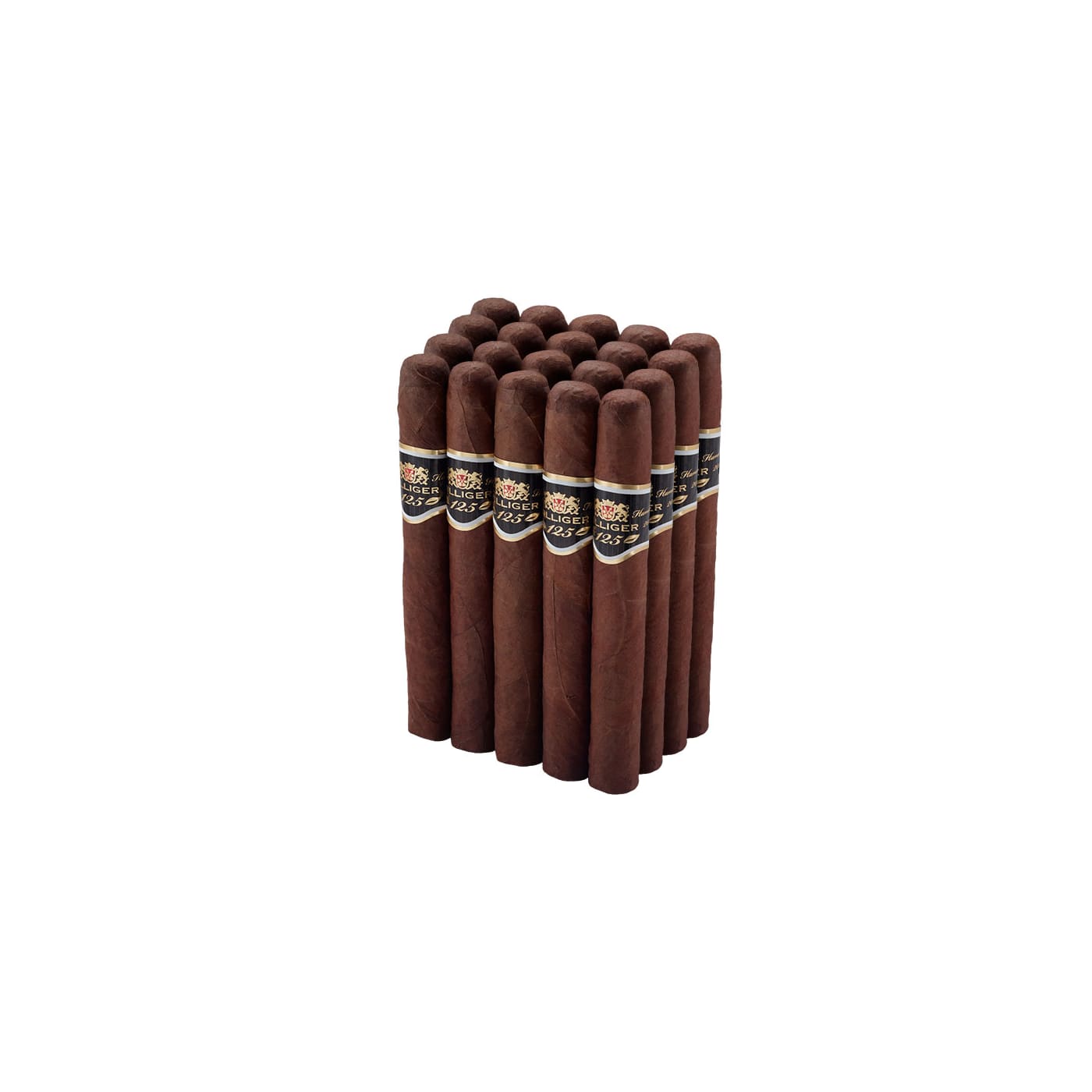 Villiger 125th Toro
