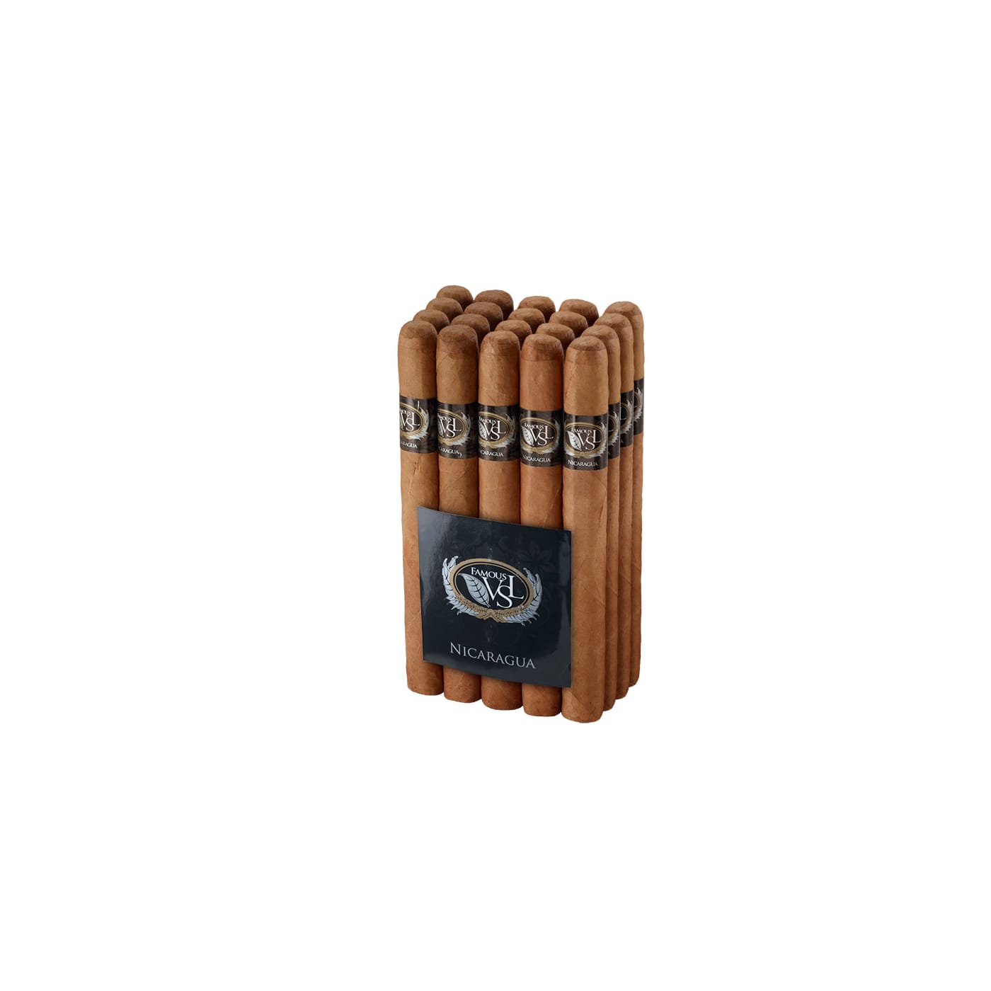 Famous VSL Nicaragua Churchill