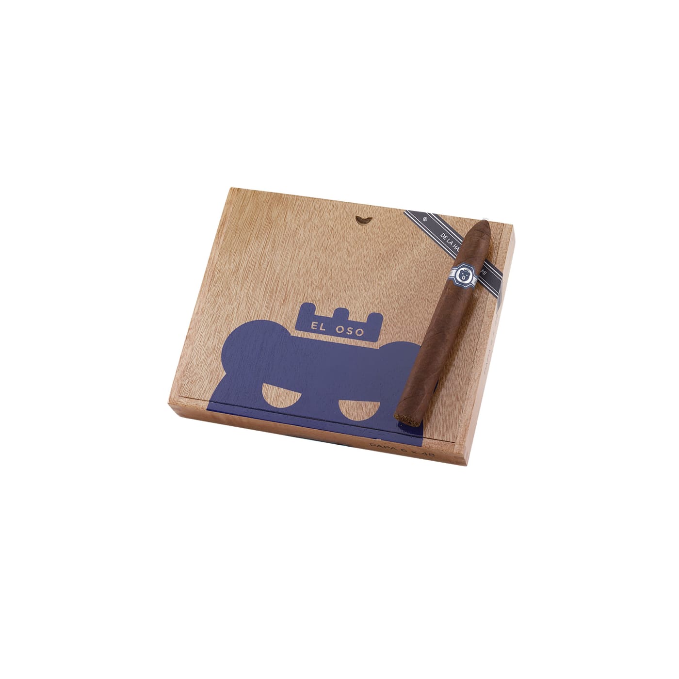 Warped El Oso Papa Blue