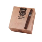 Asylum 13 11/18 Perfecto