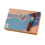 Avo Syncro Ritmo Robusto