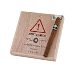 Surrogates Big Ten LLE