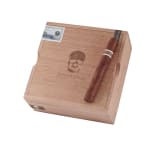 CroMagnon Aquitaine Anthropology