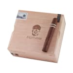 CroMagnon Aquitaine Cranium