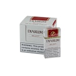 Djarum Select Filter Cigar (12)