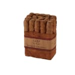 Leaf By Oscar Toro Corojo