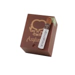 Asylum 13 Oblongata 50 X 5