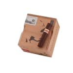 Neanderthal By Roma HoxD