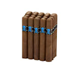 Viaje Skull & Bones Logan