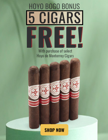 Hoyo Offer
