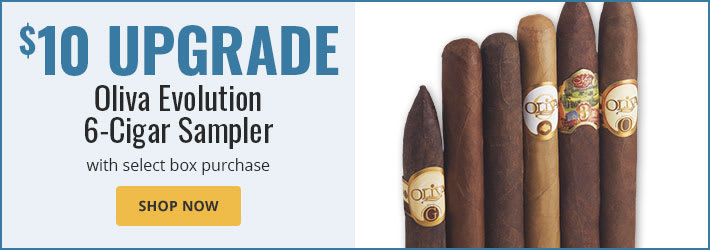 Oliva Catalog Offer