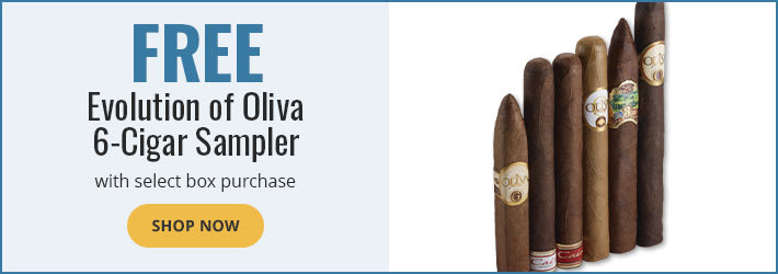 Oliva Catalog Offer
