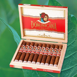 Deadwood Dominicana Buenas Noches Toro