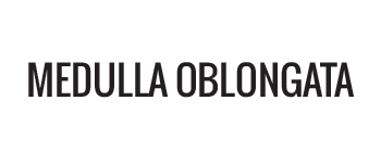 Medulla Oblongata