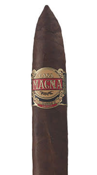 Casa Magna D. Magnus II