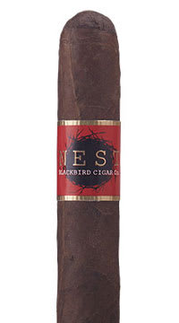 Blackbird Nest San Andres