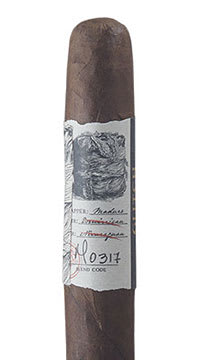 Blackbird Glitch Oscuro