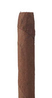 Agio Meharis Sumatra