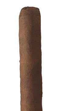 Camacho Scorpion Fumas Sun Grown