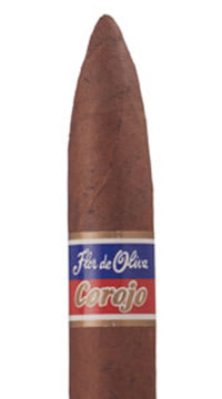 Flor De Oliva Corojo