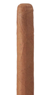 Famous Exclusives Connecticut Shade