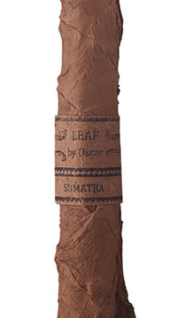 Leaf by Oscar Sumatra