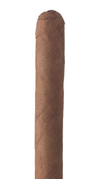 Trader Jack's Ecuador Shade