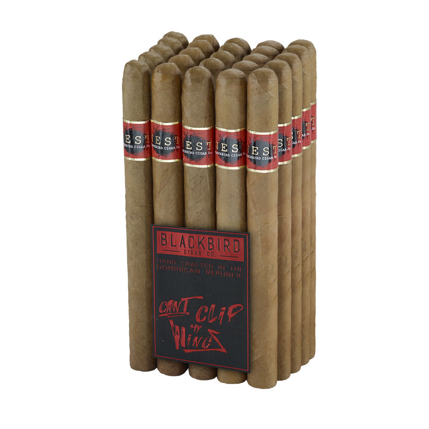 Blackbird Nest Connecticut Presidente