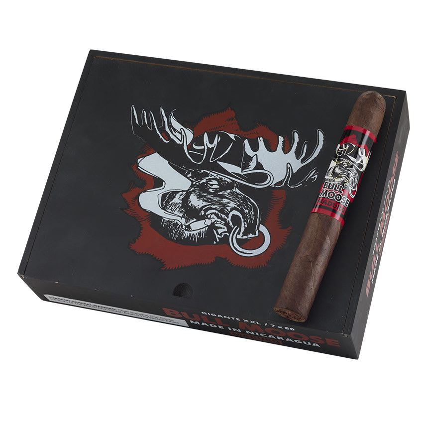 Chillin Moose Bull Moose Gigante XXL Maduro