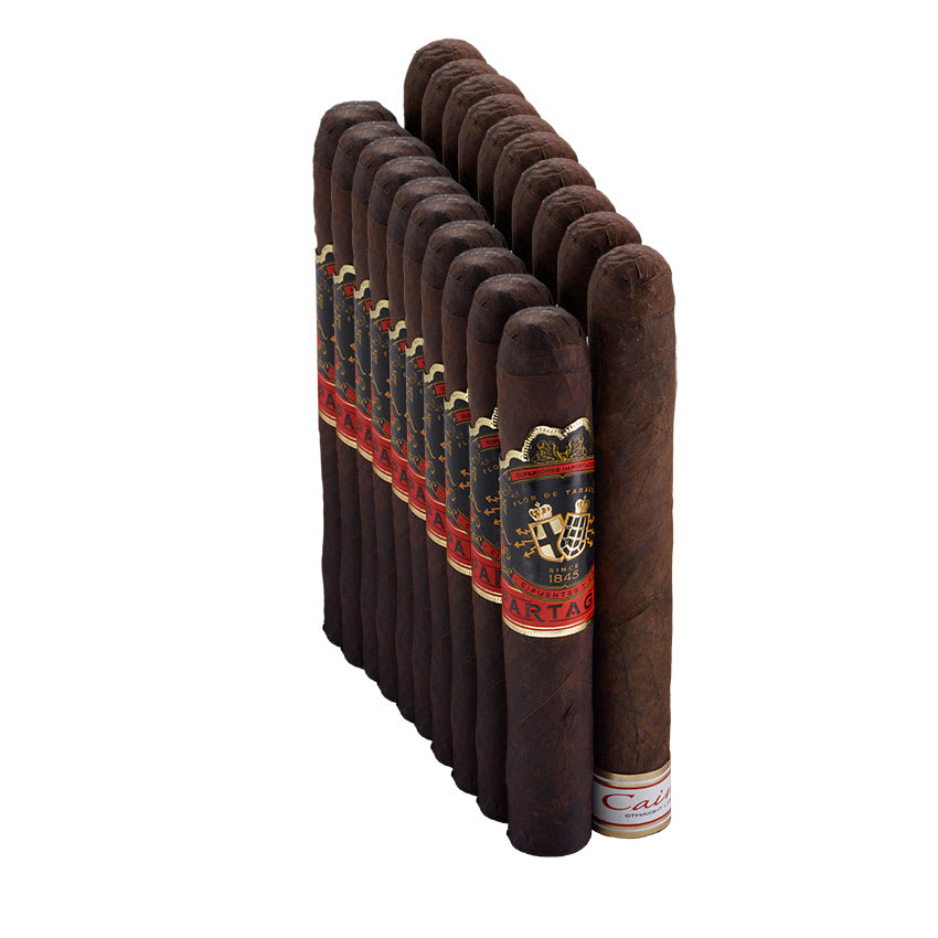 Top Rated ULTIMATE Pairing