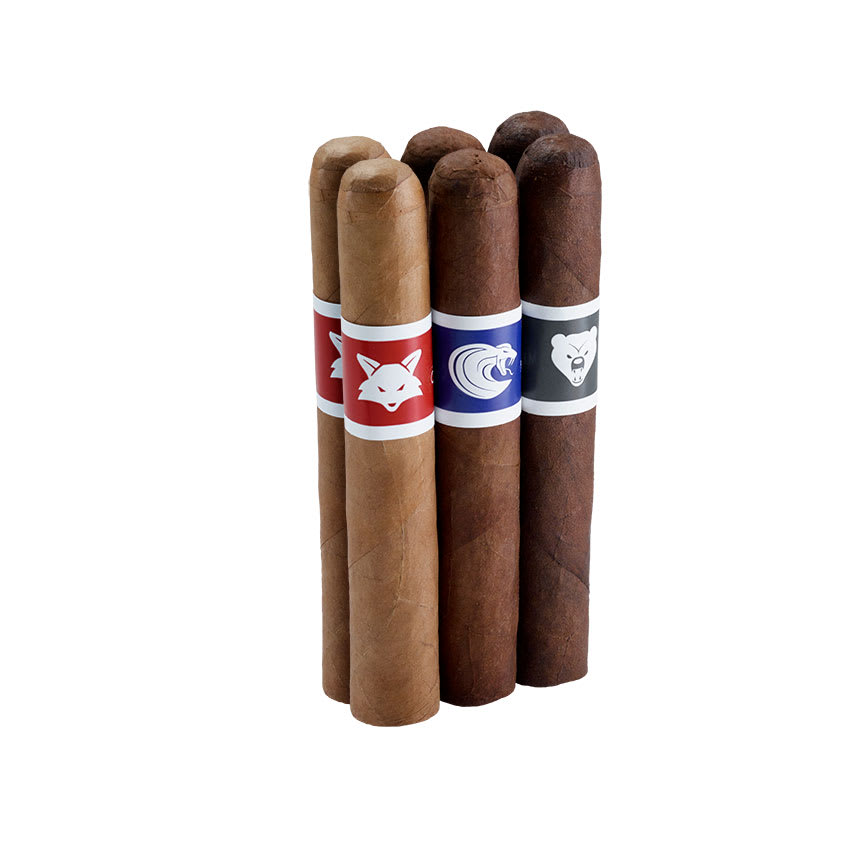 Famous Joya Exclusive Sampler