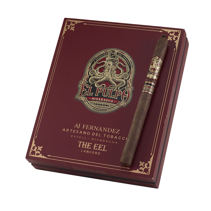 El Pulpo Lancero the Eel