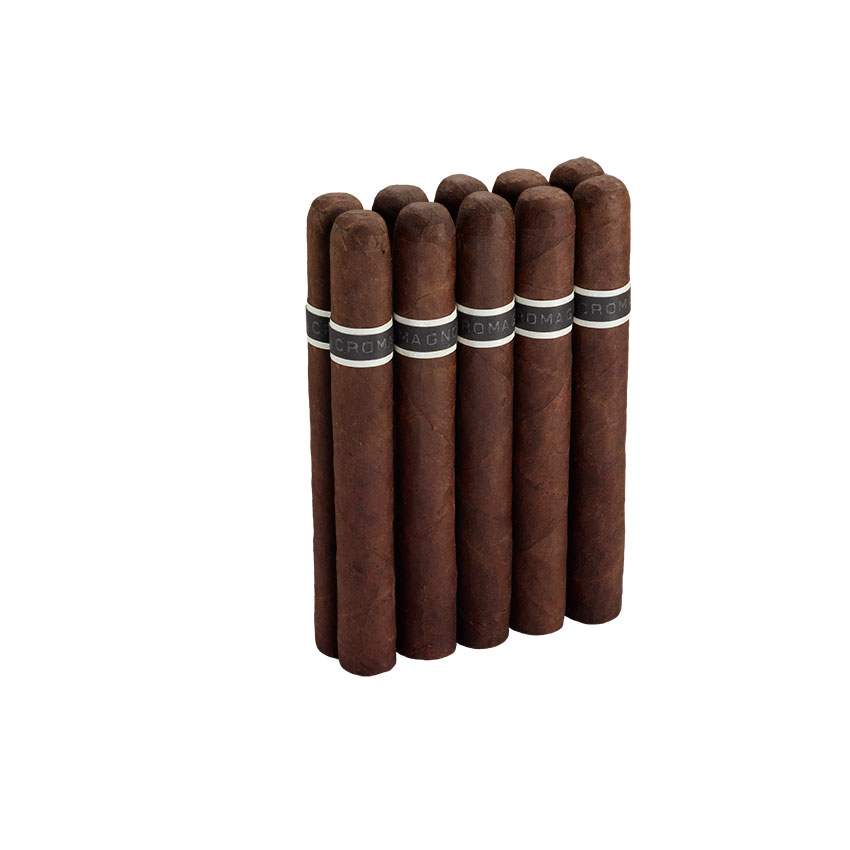 CroMagnon Anthropology 10 Pack