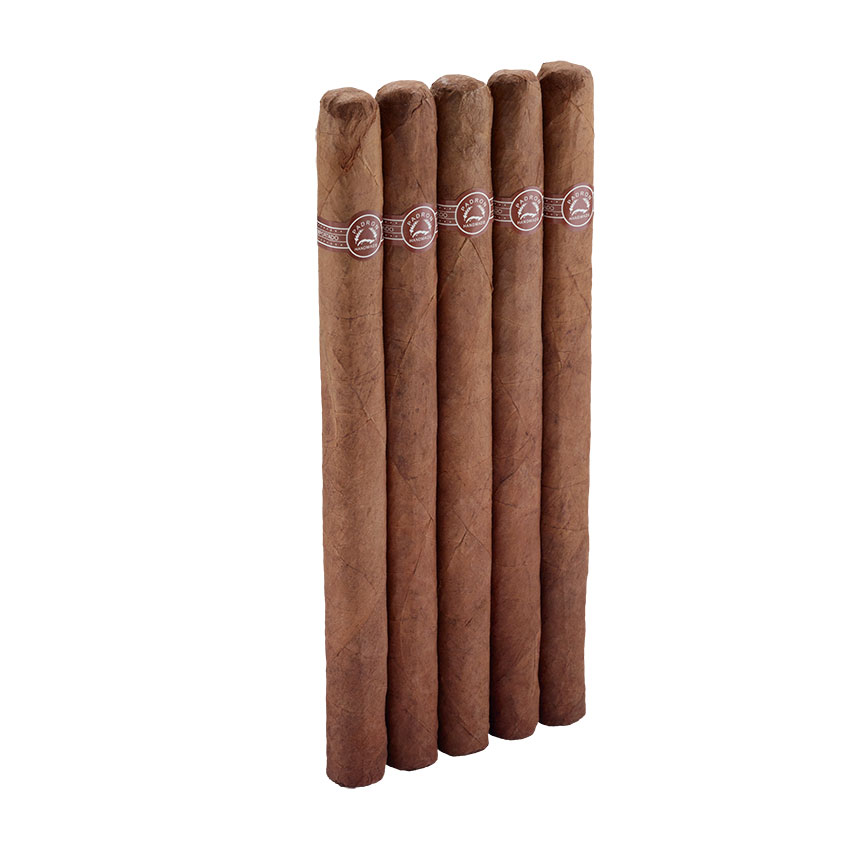 Padron Magnum 5 Pack