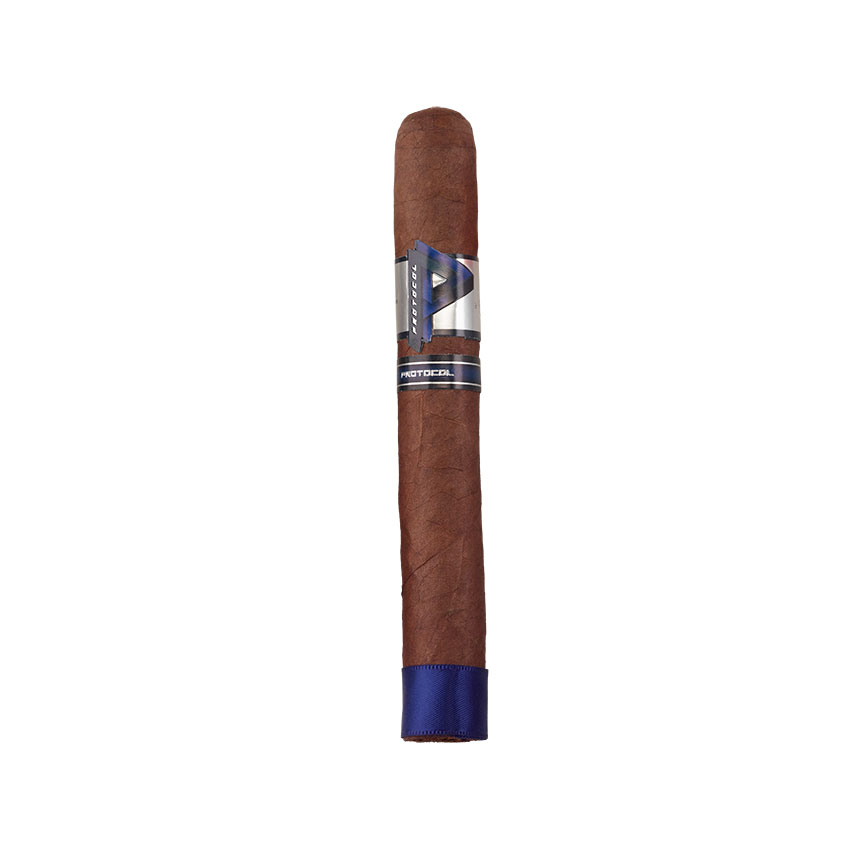 Protocol Blue Toro